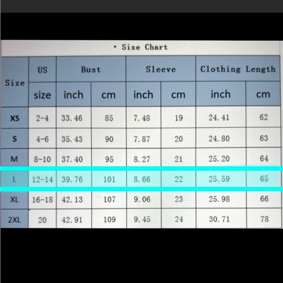 Women’s Leopard Print Top | NWT | Large - Picture 6 of 7